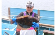 【2024年発送分】漁師タカシの活締めヒラメ（約2kg～2.5kg）