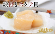 [事前予約:R8年5月下旬より順次発送]遠別産殻付きホタテ貝(約3〜4kg)