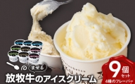 北海道 お菓子 スイーツ 放牧牛 アイスクリーム 4種9個 【池田牧場】