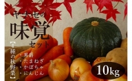 R6年産　味覚セット　約10kg　ヤナセ農園/013-27093-b01A