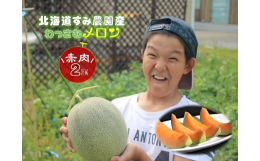 農家さんが1玉1玉ていねいに育て上げ、北海道ならではの寒暖差でメロンが甘く美味しくなります。北海道からお届けできる期間は短いですが、北の大地で育ったメロンはいかがですか。鷲見（すみ）農園さんのメロン。