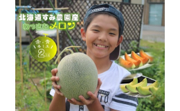 農家さんが1玉1玉ていねいに育て上げ、北海道ならではの寒暖差でメロンが甘く美味しくなります。北海道からお届けできる期間は短いですが、北の大地で育ったメロンはいかがですか。鷲見（すみ）農園さんのメロン。
