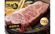 流氷牛ステーキ肉　750g　（250g×3　サーロイン）/035-31129-a01F