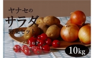 R6年産　サラダ野菜セット　約10kg　ヤナセ農園/013-27092-b01A