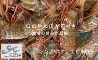 6-035-003　【北海道産】冷凍ジャンボボタンエビ800g（7尾～11尾）