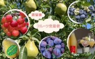 6-060-004　秋香園の果物定期便