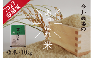 北海道産 あっぱれ米 10kg (精米) 今井農場/016-03008-b01E