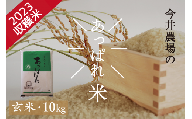 北海道産 あっぱれ米 10kg (玄米) 今井農場/016-03009-b01E
