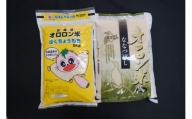 【日本最北のもち米生産地からお届け】はくちょうもち・オロロン米ななつぼしセット（計１０㎏）