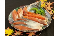 5-015-009　北海道増毛産 新巻鮭姿切り身（半身） 1.3kg