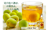 幌延町産ミズナラ樽貯蔵　梅酒