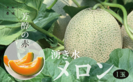 [R8年収穫分][数量限定]湧き水メロン(L玉以上)1玉 さの農場
