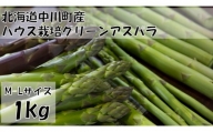 令和6年春分受付開始!!北海道中川町産ハウス栽培グリーンアスパラ M-Lサイズ 1kg