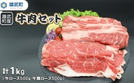 北海道雄武町産　牛肉セット（冷凍）(牛ローススライス500g　牛肩ローススライス500g)【09118】