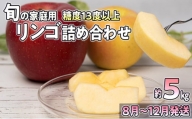 8～12月発送【家庭用】旬のリンゴ詰め合わせ 約5kg 糖度13度以上【弘前市産・青森りんご】