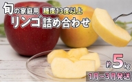 1～3月発送【家庭用】旬のリンゴ詰め合わせ 約5kg糖度13度以上【弘前市産・青森りんご】