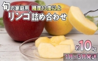【1月～3月発送】家庭用 旬のリンゴ詰め合わせ 約10kg糖度13度以上【弘前市産・青森りんご】