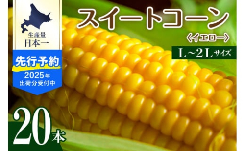 【先行予約】【2025年産】北海道十勝芽室町 とうもろこし スイートコーン20本 イエロー種 me002-014c-25