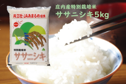 【049-008】庄内産　特別栽培米ササニシキ5kg