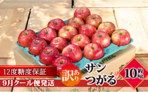 【9月クール便発送】（12度糖度保証）訳ありサンつがる約10kg【弘前市産・青森りんご】