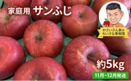 【11月～12月発送】家庭用 サンふじ 約 5kg 【弘前市産・青森りんご】