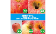 ＜R7年11月上旬～発送開始＞内容量　約10Kg　訳ありりんご　シナノスイート　24～46個入【1333054】