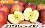 りんご 【 12月発送 】 訳あり 当園の味自慢！ 葉とらずふじ 約 10kg 【 弘前市産 青森りんご 】