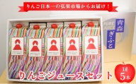 りんごジュース 1L×5本【青森県産 ヘラルボニーデザイン・パッケージ】
