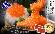 いくら醤油漬け 500g（250g×2パック） イクラ 魚卵 いくら丼 海鮮丼 ご飯のお供 羅臼町 北海道 F21M-918