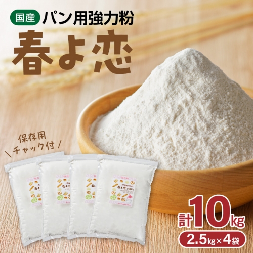 【小麦粉】国産 “春よ恋” パン用 強力粉 2.5kg×4袋（計10kg）　H008-208