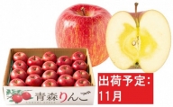 【11月下旬発送】 特A 蜜入り サンふじ 約5kg 糖度13度以上【青森りんご・マルコウアップル】