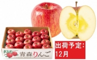 12月 特A 蜜入り サンふじ 約5kg 糖度13度以上【青森りんご・マルコウアップル】