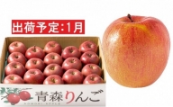 1月  家庭用濃厚サンふじ約5kg　糖度13度以上【訳あり】青森津軽りんご
