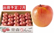 2月 訳あり 家庭用 濃厚サンふじ 約5kg 糖度13度以上【青森りんご・マルコウアップル】