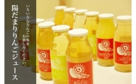 山善 齊藤農園　12種類の陽だまりりんごジュース12本セット（各180ml）