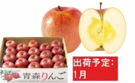 1月 訳あり  家庭用蜜入りサンふじ 約5kg 【青森りんご・マルコウアップル】