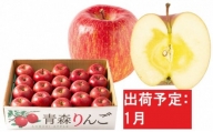 1月  特A 蜜入りサンふじ 約5kg　糖度13度以上 【青森りんご・マルコウアップル】