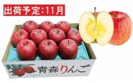 【11月下旬発送】  特A 蜜入りサンふじ約3kg　糖度13度以上 【青森りんご・マルコウアップル】