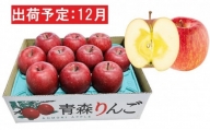 12月  特A 蜜入りサンふじ約3kg　糖度13度以上 【青森りんご・マルコウアップル】