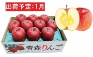 1月  特A 蜜入りサンふじ約3kg　糖度13度以上 【青森りんご・マルコウアップル】