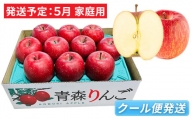 5月 冷た～い ふじりんご 約3kg（有袋栽培 家庭用・8～11玉程度  CA貯蔵）【青森りんご・マルコウアップル】