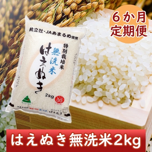 ＜8月中旬発送開始＞庄内米6か月定期便！特別栽培米はえぬき無洗米2kg（入金期限：2022.7.25）