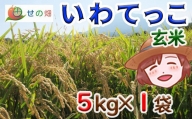 いわてっこ 玄米5kg×1袋【せの畑】 ／ 米 産地直送 農家直送
