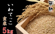 【八幡平市産】 いわてっこ 玄米 5kg ／  十一代目藤助 米 産地直送 農家直送
