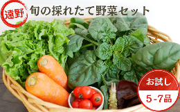 岩手県遠野市の厳しい昼夜の寒暖差によって旨みがぎゅっと詰まった野菜をセットにしました。【関連ワード】【ふるさと納税】旬の採れたて 野菜 の詰め合わせ セット（5〜7品）ライトサイズ 岩手県 遠野市 産