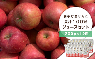 岩手県産りんごの果汁100%ジュース　（200ｇ×12個）【03303-0107】