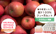 岩手県産りんごの果汁100%　ジュース・ゼリーセット　【03303-0109】