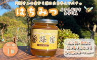 阿部さんの倉から採れた 日本ミツバチ 蜂蜜 [300g×1個] 国産 遠野産 非加熱 純粋 はちみつ 希少 遠野食工房蔵