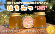 阿部さんの倉から採れた 日本ミツバチ 蜂蜜 [55g×3] 国産 遠野産 非加熱 純粋 はちみつ 希少 遠野食工房蔵