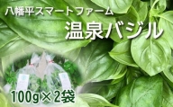 【八幡平市産】温泉バジル 100g×2袋 ／ 新鮮 生 薬味 ハーブ スマートファーム